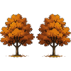 Twin Autumn Trees in Orange