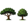 Tree duo apple tree in balance