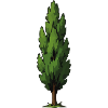 Forme d’arbre vert stylisé