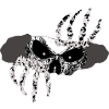 Skull Claws in the Shadow