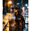 Dachshund with sunglasses tinking iced coffee