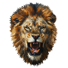 Lion's Head