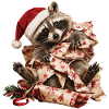 Raccoon in gift chaos