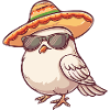 Dove Bird Funny Sombrero