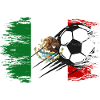 Mexico flag football used