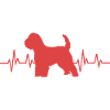 Wheaten Terrier