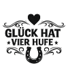 Glück hat vier Hufe