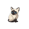 Siamkatzen-Pyjama