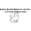 Esclave_de_chat_depuis_son_arrivée--
