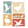Ducks Collage - Retro Artwork - Farm