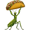Praying Mantis Comic Taco Mexican Food