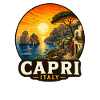 Capri Italy Holidays Mediterranean South Seas
