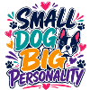 Boston Terrier Small Dog Big Personality