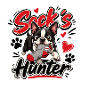 Boston Terrier Sock's Hunter Pup