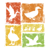 Duck Perspectives - Retro Graphic