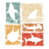 Retro Shark Perspectives Graphic