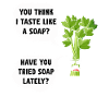 Celery Soap Joke Tee