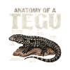 Die Anatomie eines Tegus