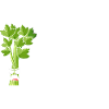 Leaf Me Alone Celery Pun Tee