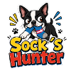 Boston Terrier Sock's Hunter Pup