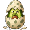 Avocado chicks from eggshell