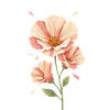Pastel Poppies Blossom Design