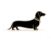 Low & Luxurious Dachshund Design