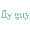 FLY GUY