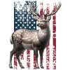 Sika Deer US Sikahirsch