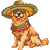 Golden Retriever Dog Sombrero