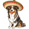 Border Collie Dog Funny Sombrero