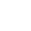 Crazy Turtle Lady