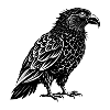 Oiseau kea