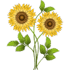 Blumen