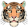 Sleepy Tiger Cartoon Face