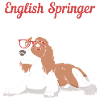 Springer Spaniel Dog