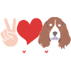 Springer Spaniel Dog
