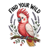 Parrot: Find Your Wildness