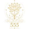 555 Lotus Transformation