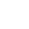 Niederlande - Nederland - Netherlands - Lion Löwe