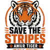 Save the Stripes Amur Tiger
