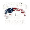Truck Driver Logistics Profession