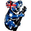 Koala Australia Australian