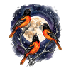 Three Oriole Moons