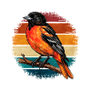 Robin in Retro Rainbow Oriole