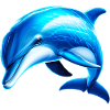 dolphin