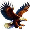 eagle