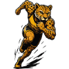 Fast cheetah in power running