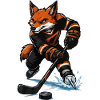 Fuchs Eishockey Sprint