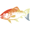 Fish Graphic Retro Style